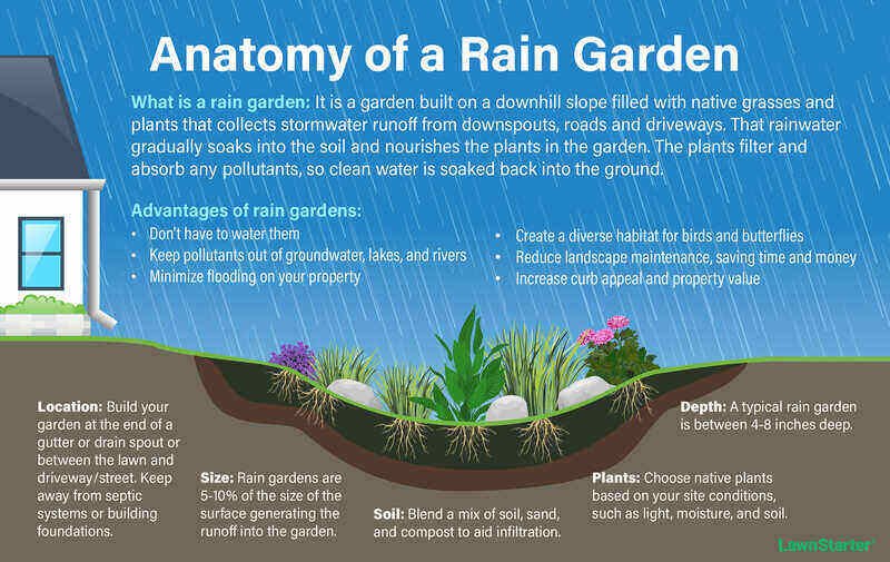 Rain Forest Anatomy - Renovate UAE